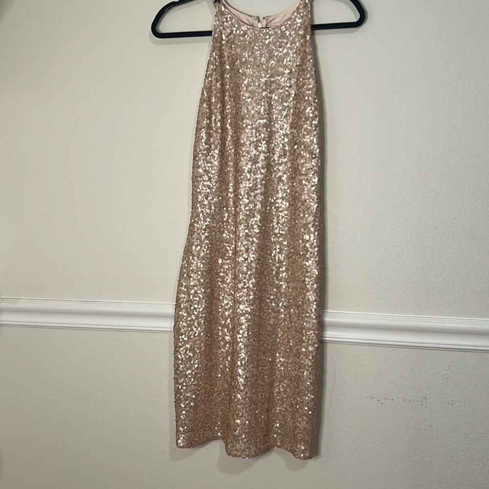 Badgley Mischka Beautiful sparkling dress size 12 pink rose coloring.